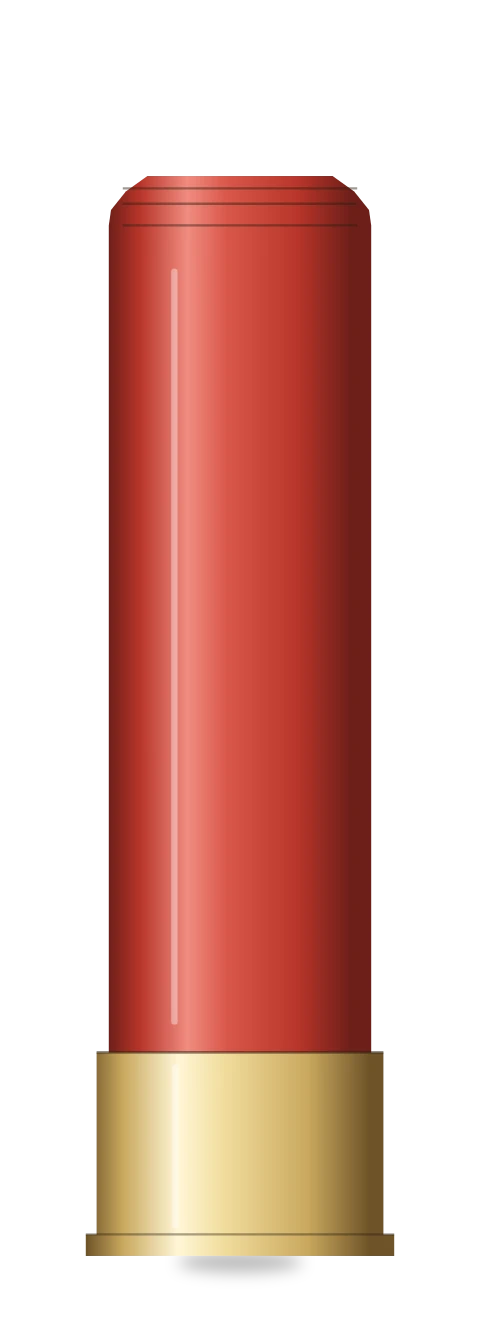 10 Gauge cartridge
