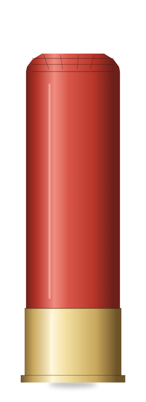 12 Gauge cartridge