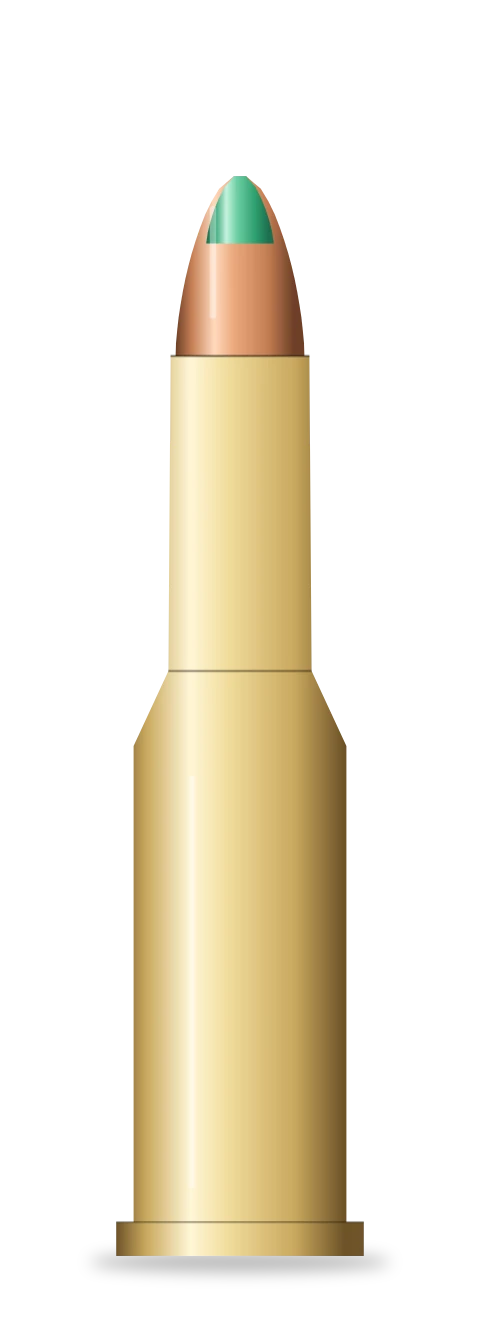 .17 Winchester Super Magnum cartridge