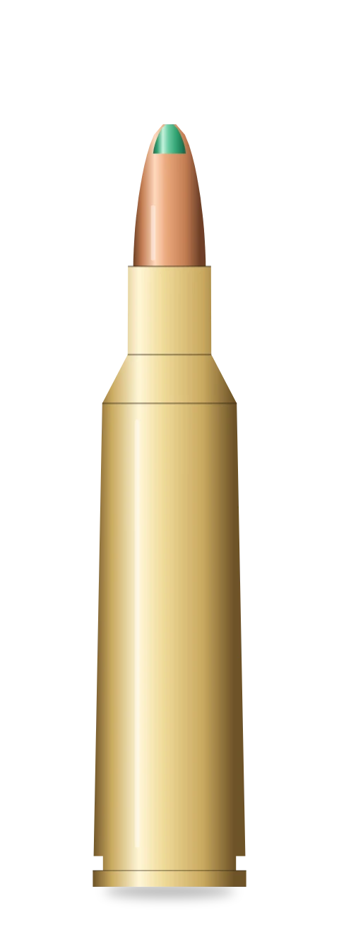 .22-250 Remington cartridge
