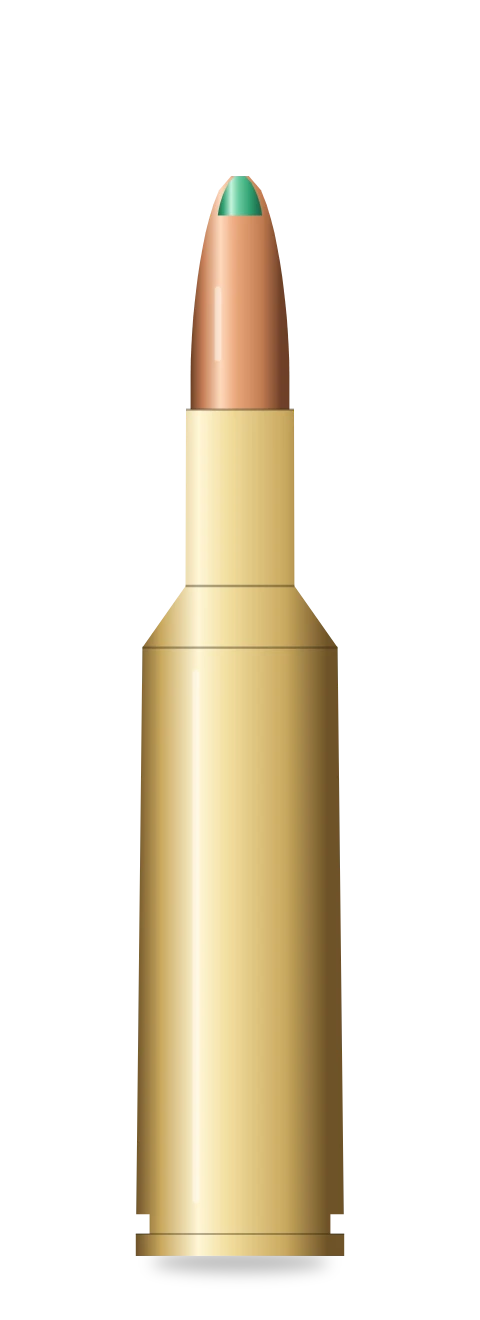 .22 Creedmoor cartridge