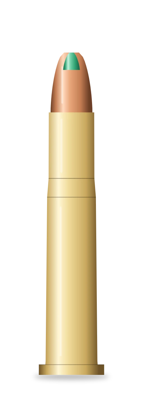 .22 Hornet cartridge
