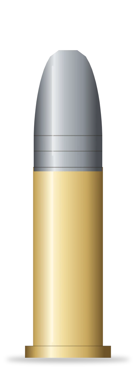 .22 Long Rifle cartridge
