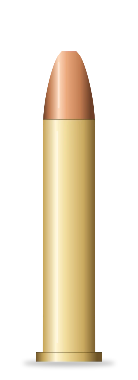 .22 Winchester Magnum cartridge