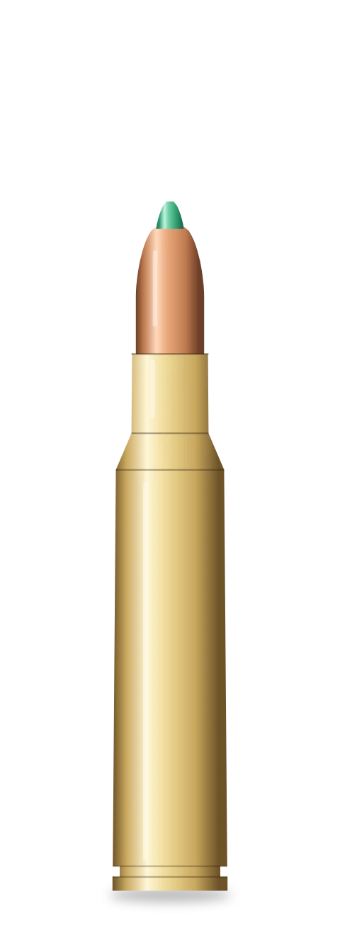 .223 Remington cartridge