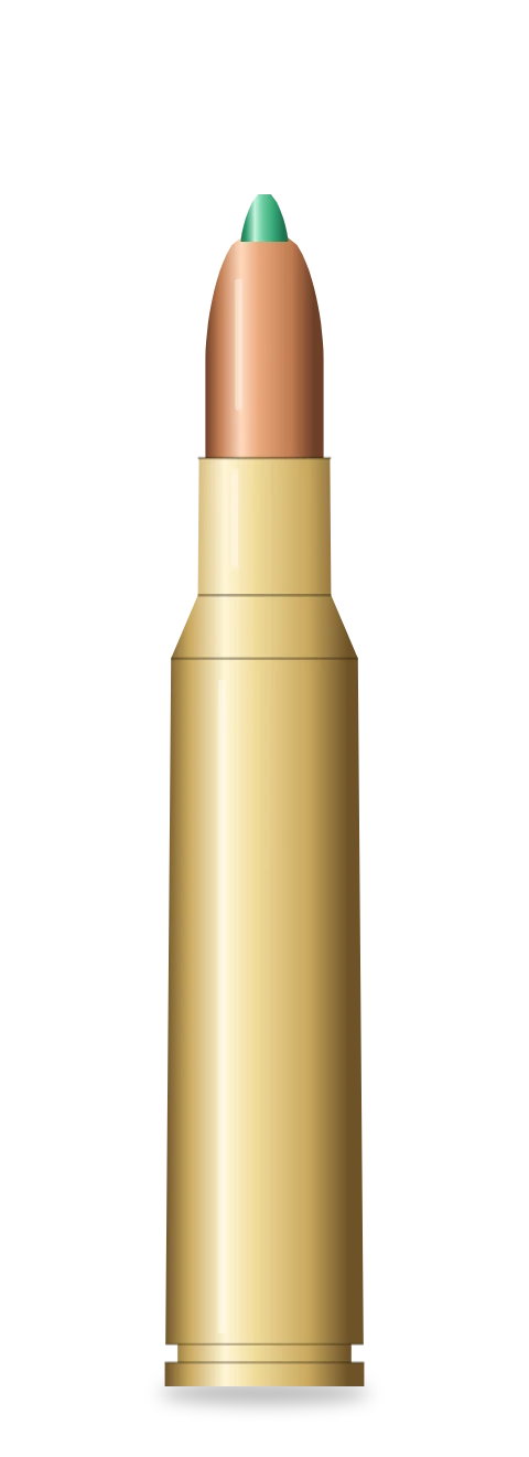 .223 Remington cartridge