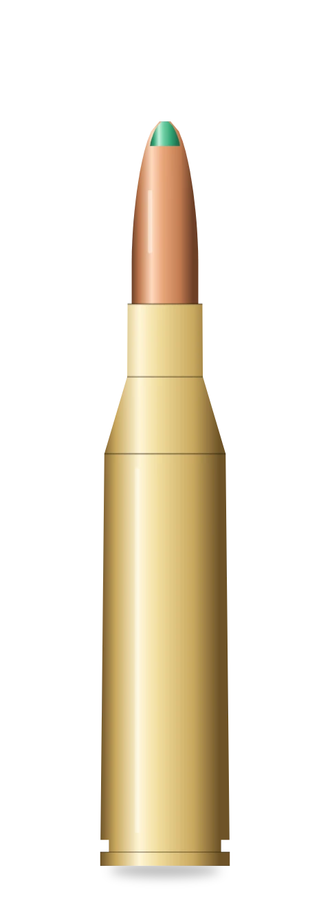 .243 Winchester cartridge