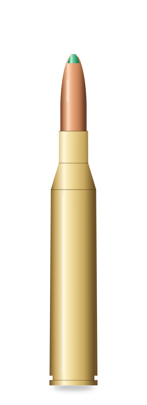 .25-06 Remington cartridge