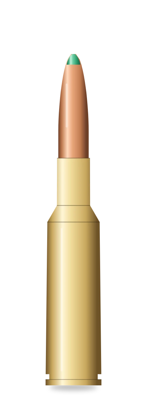 .25 Creedmoor cartridge