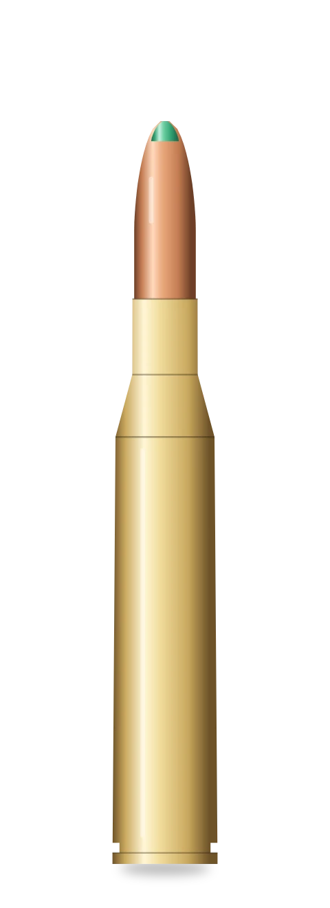 .270 Winchester cartridge