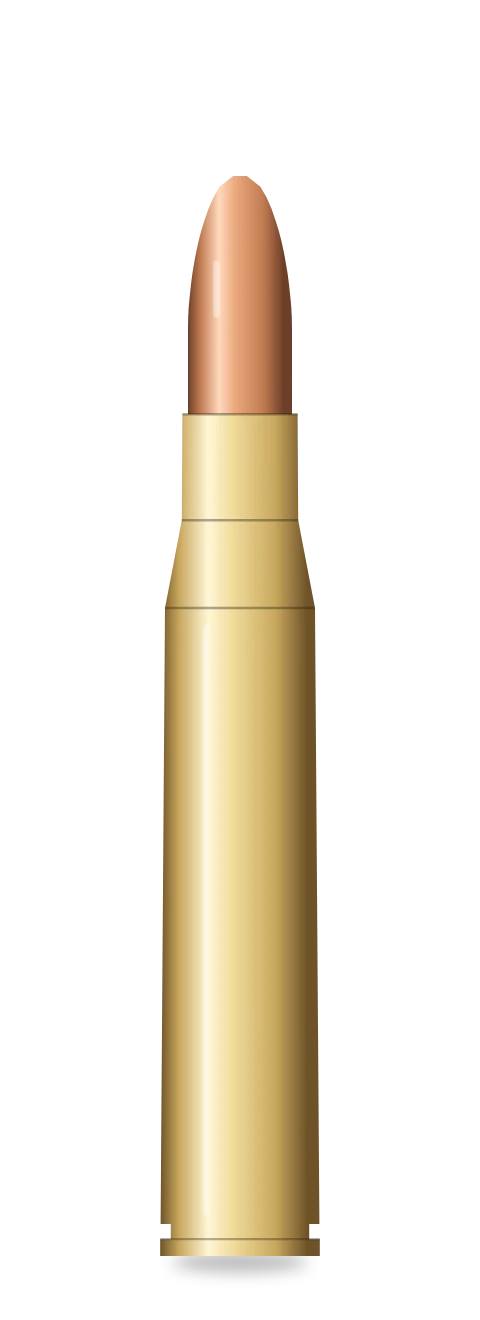 .30-06 Springfield cartridge