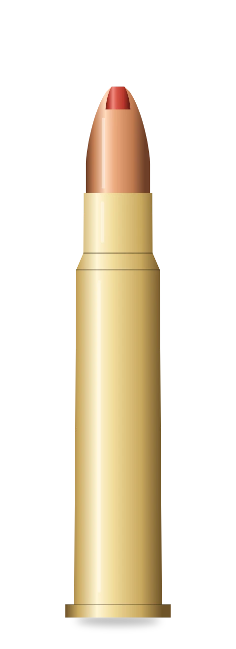 .30-30 Winchester cartridge