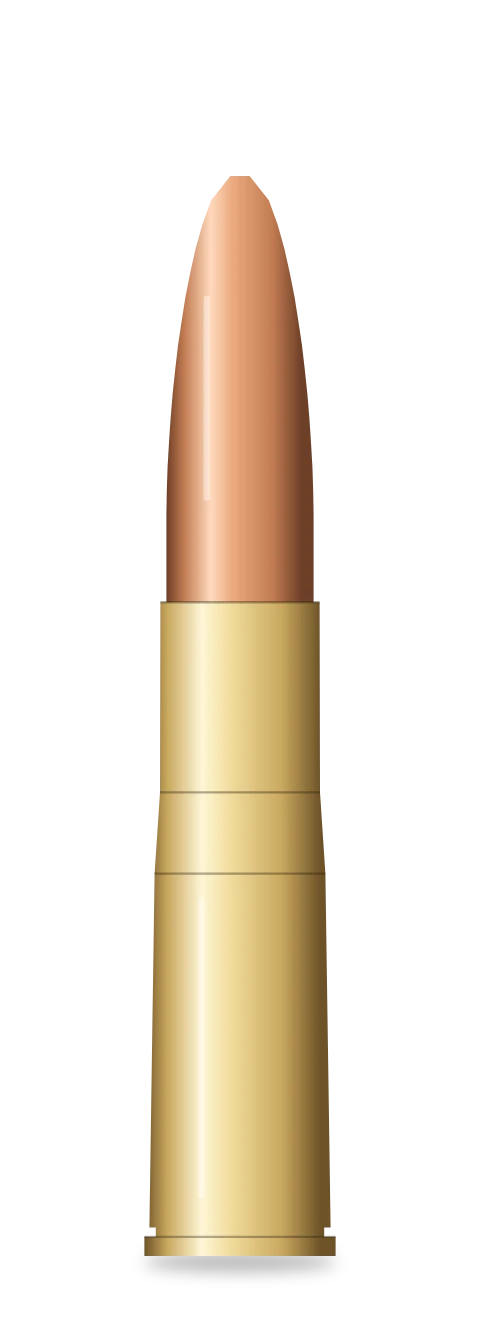 .300 AAC Blackout cartridge