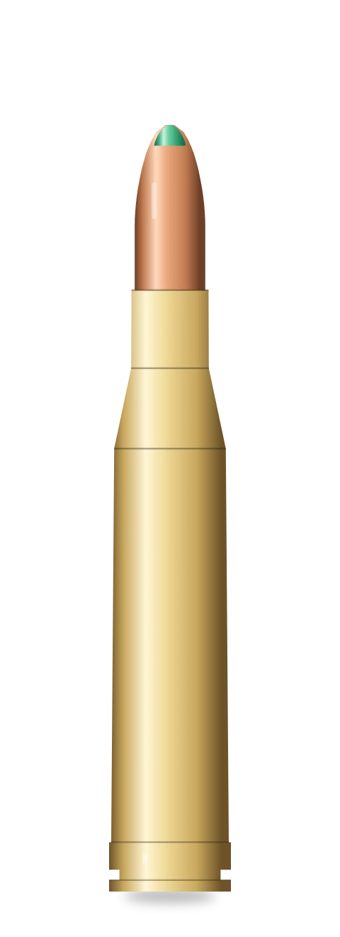.300 Winchester Magnum cartridge