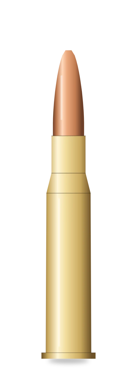 .303 British cartridge
