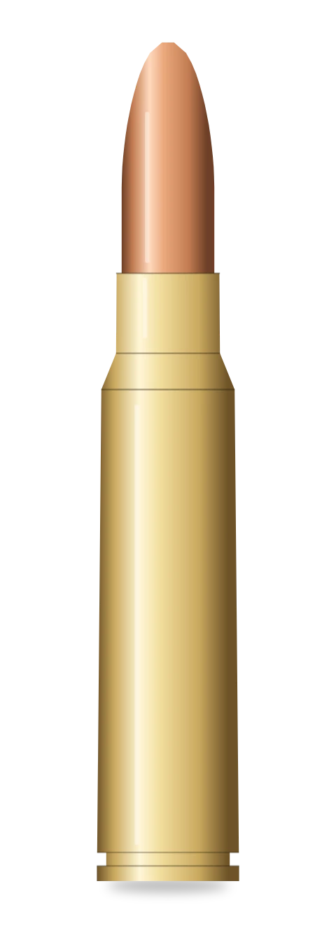 .308 Winchester cartridge