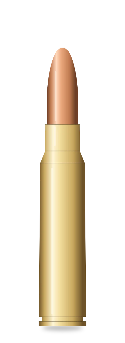 .308 Winchester cartridge