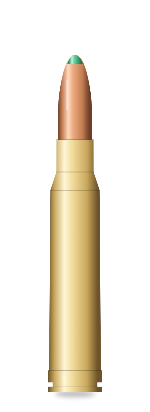 .338 Winchester Magnum cartridge