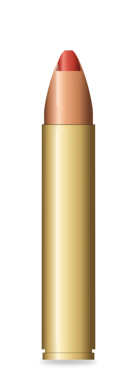 .350 Legend cartridge