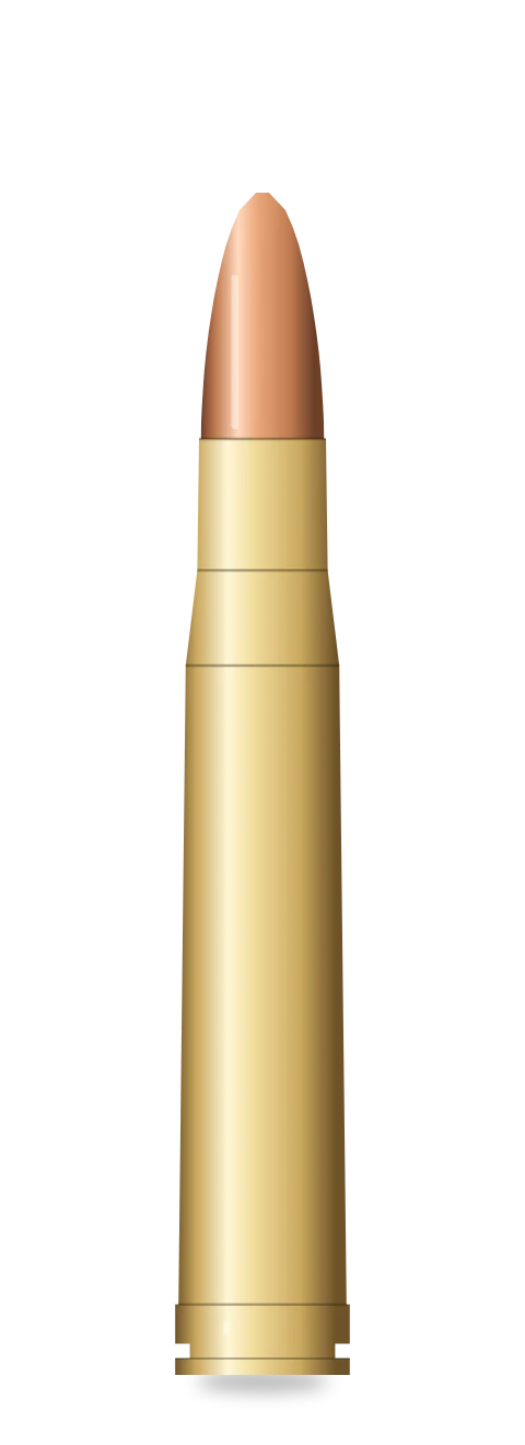 .375 H&H Magnum cartridge