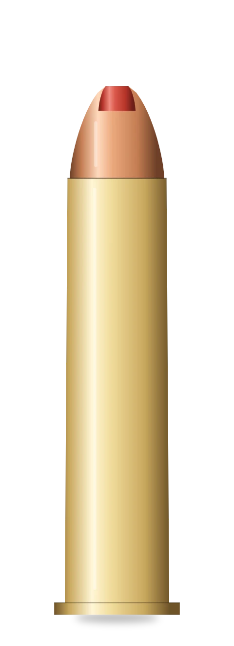 .45-70 Government cartridge