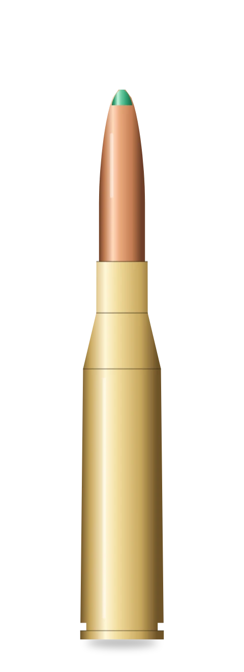 6.5x55 Swedish cartridge