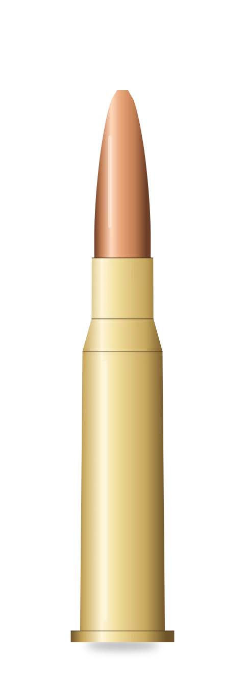 7.62x54mmR cartridge